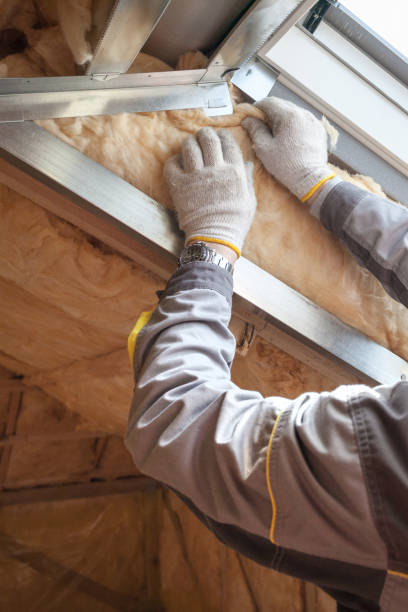 Best Specialized Insulation Services in Kaufman, TX
