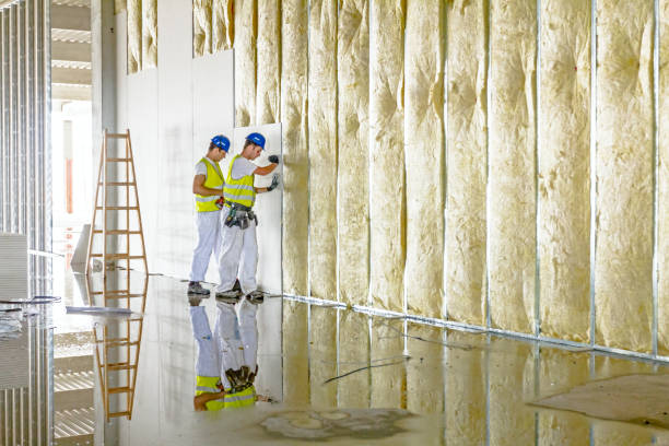Best Spray Foam Insulation in Kaufman, TX